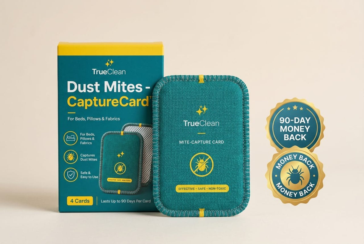 CaptureCard dust mite trap box and cards