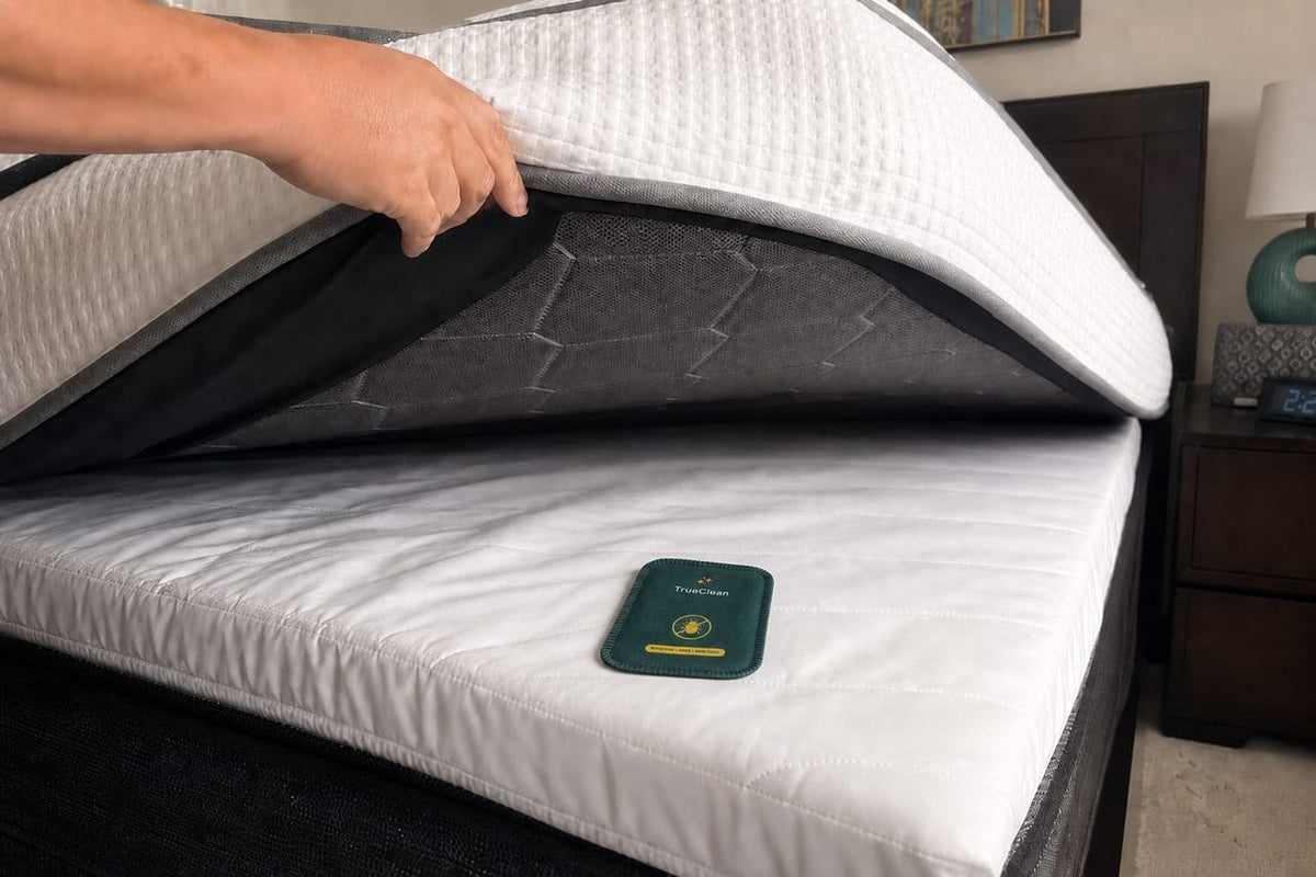 Customer review photo with CaptureCards near a mattress