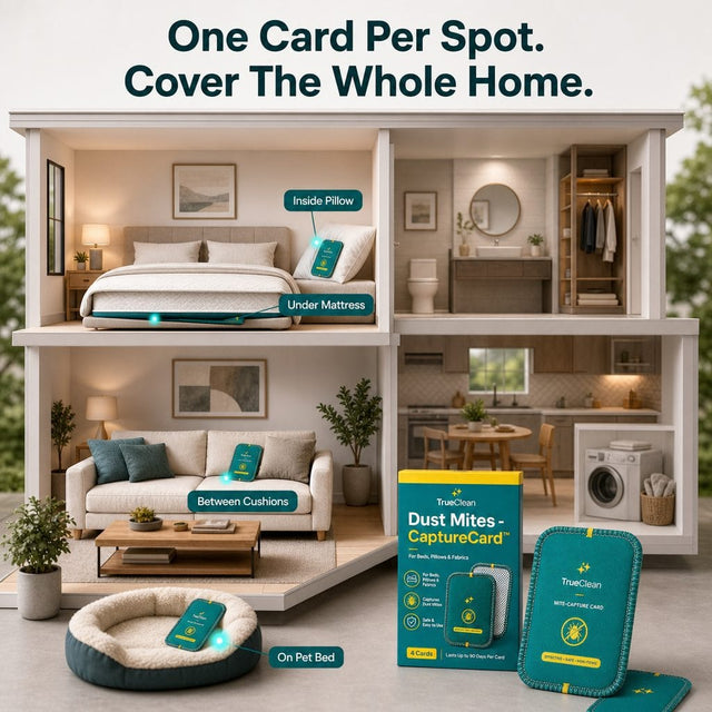 8. Covers Every Mite Hotspot — and Saves You Up to 40%