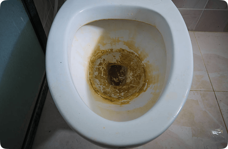 Every Flush Deposits Minerals